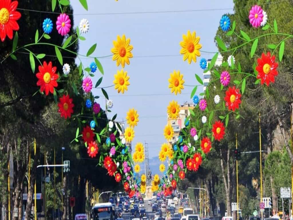 Summer Day in Albania tirana's cultural