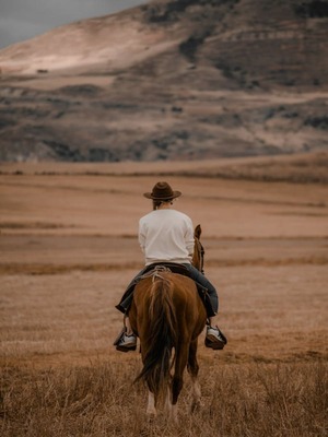 woman-horseback-riding-on-mounatins